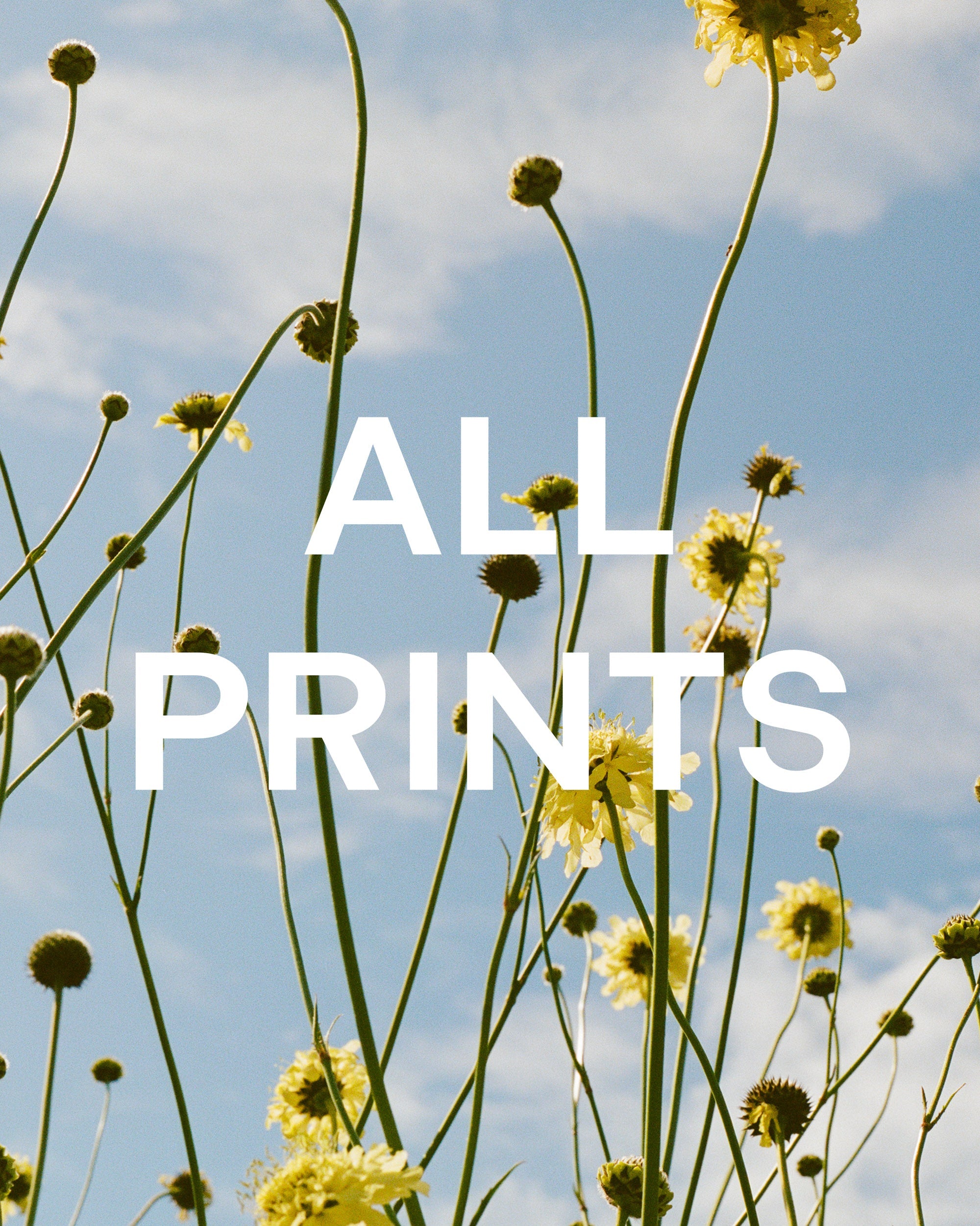 All Prints