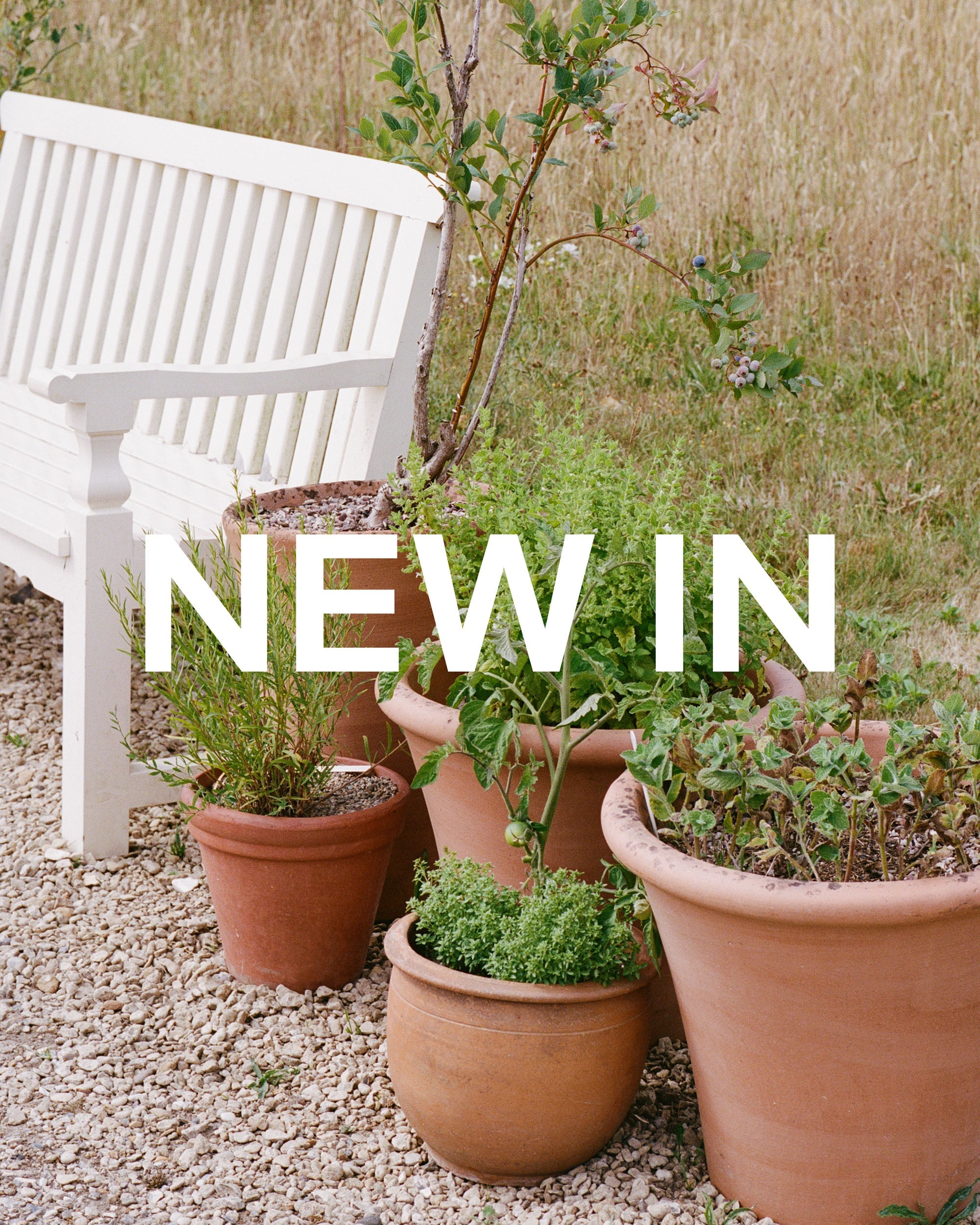 New In