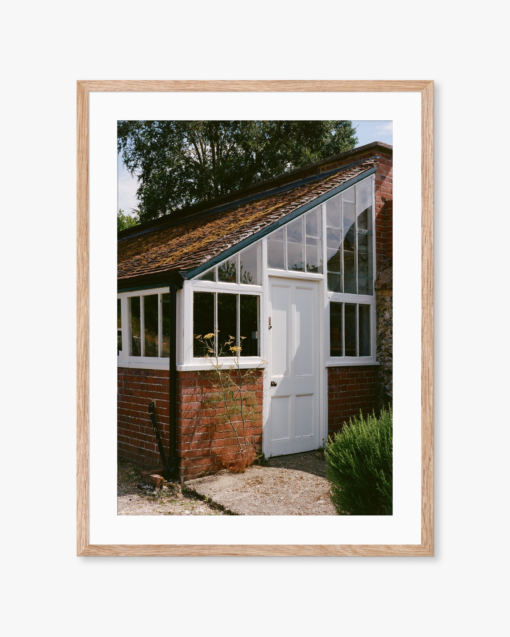 English Country Greenhouse Print
