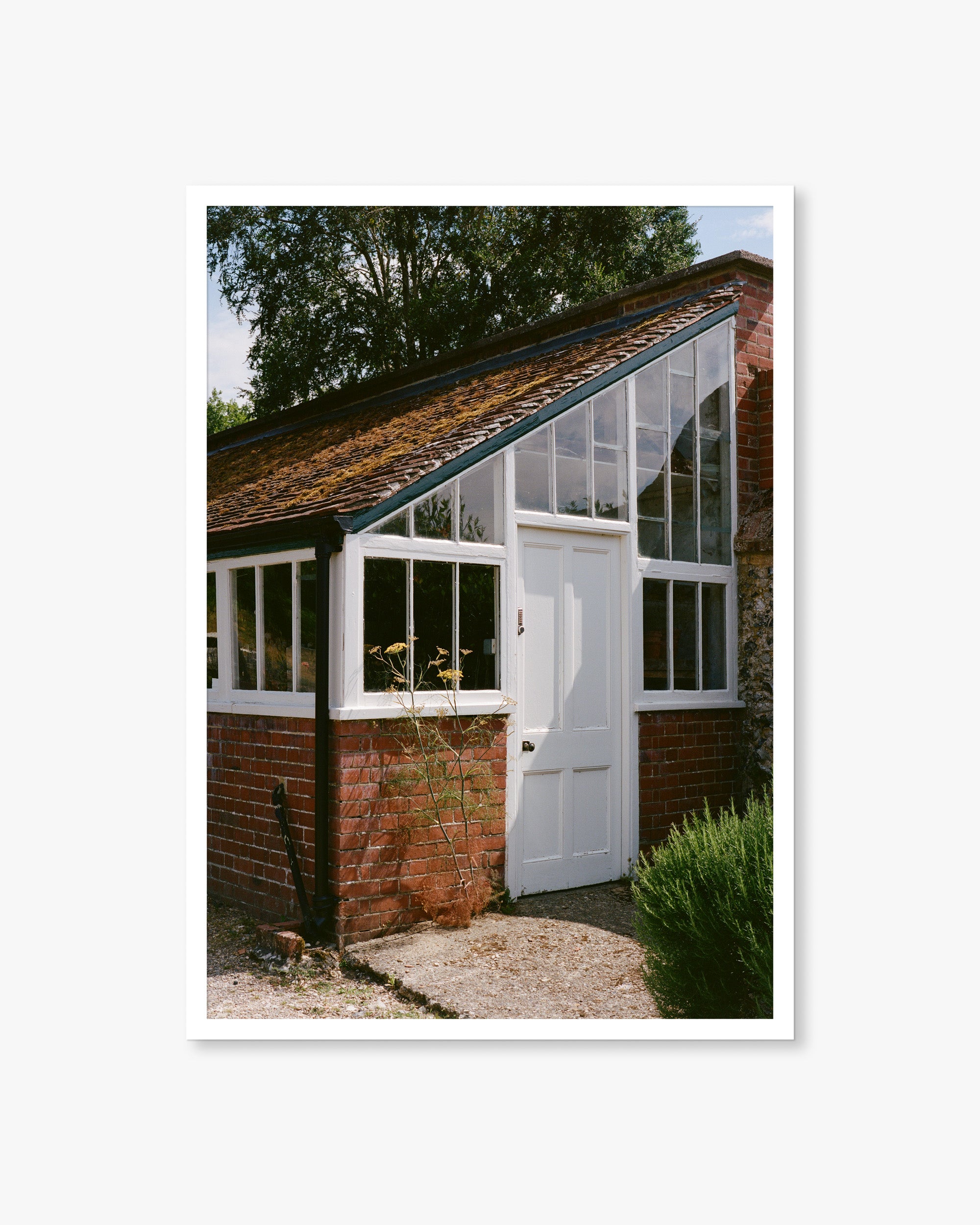 English Country Greenhouse Print