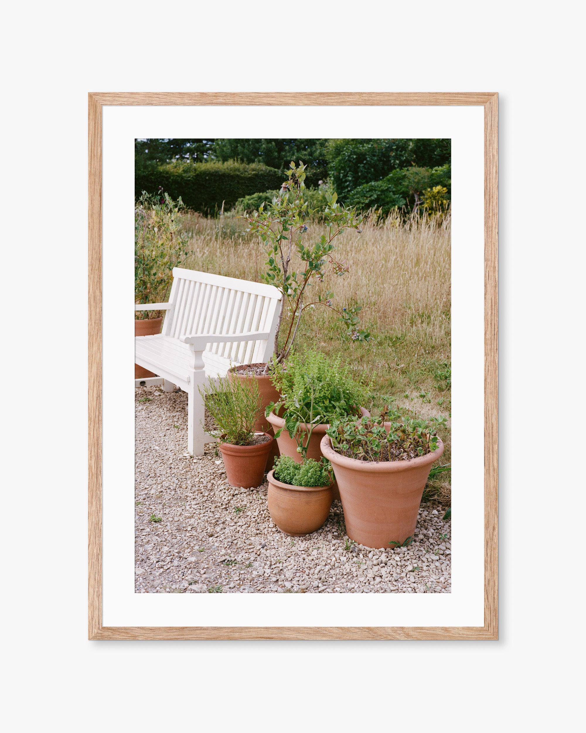 English Garden Bench Print