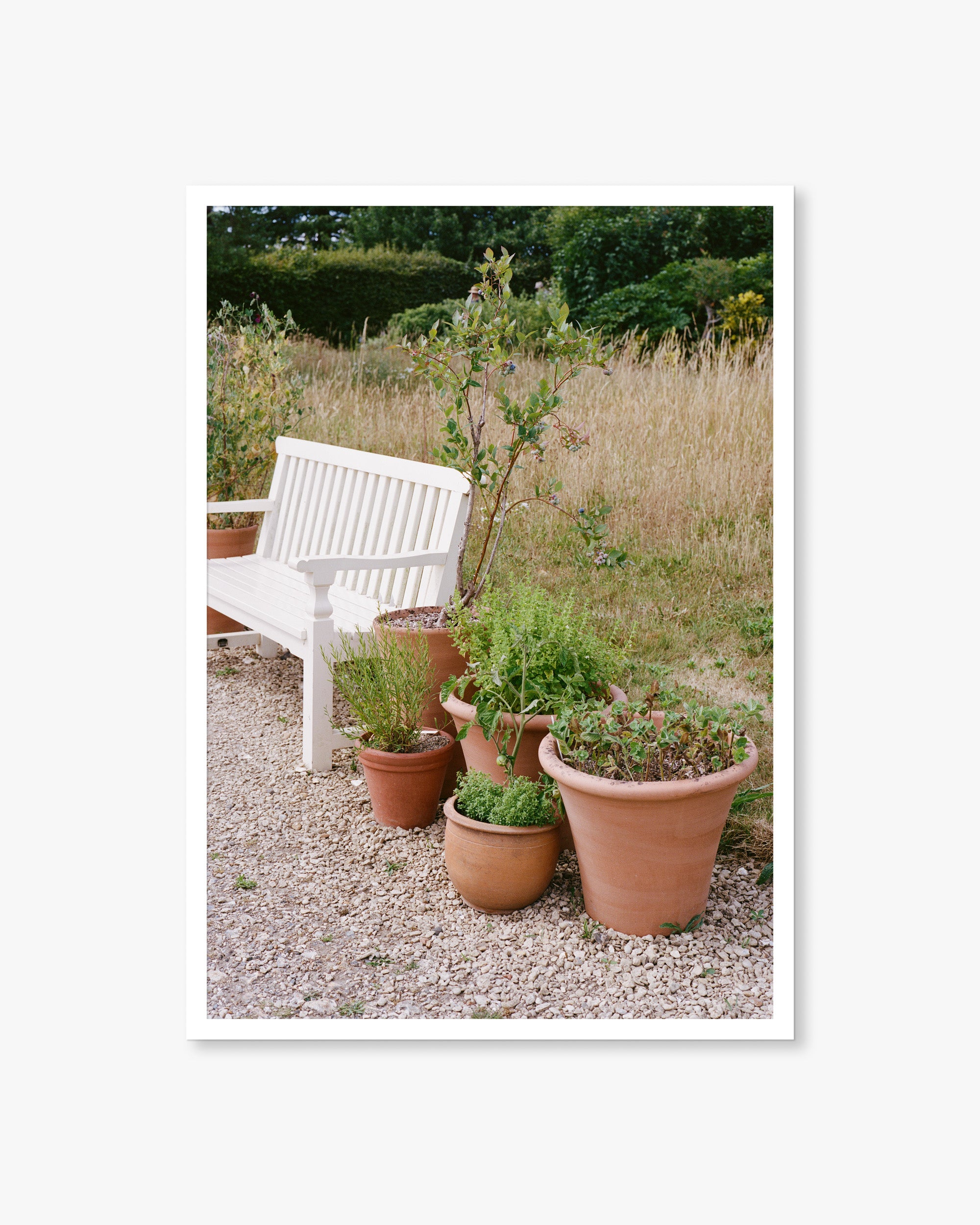 English Garden Bench Print