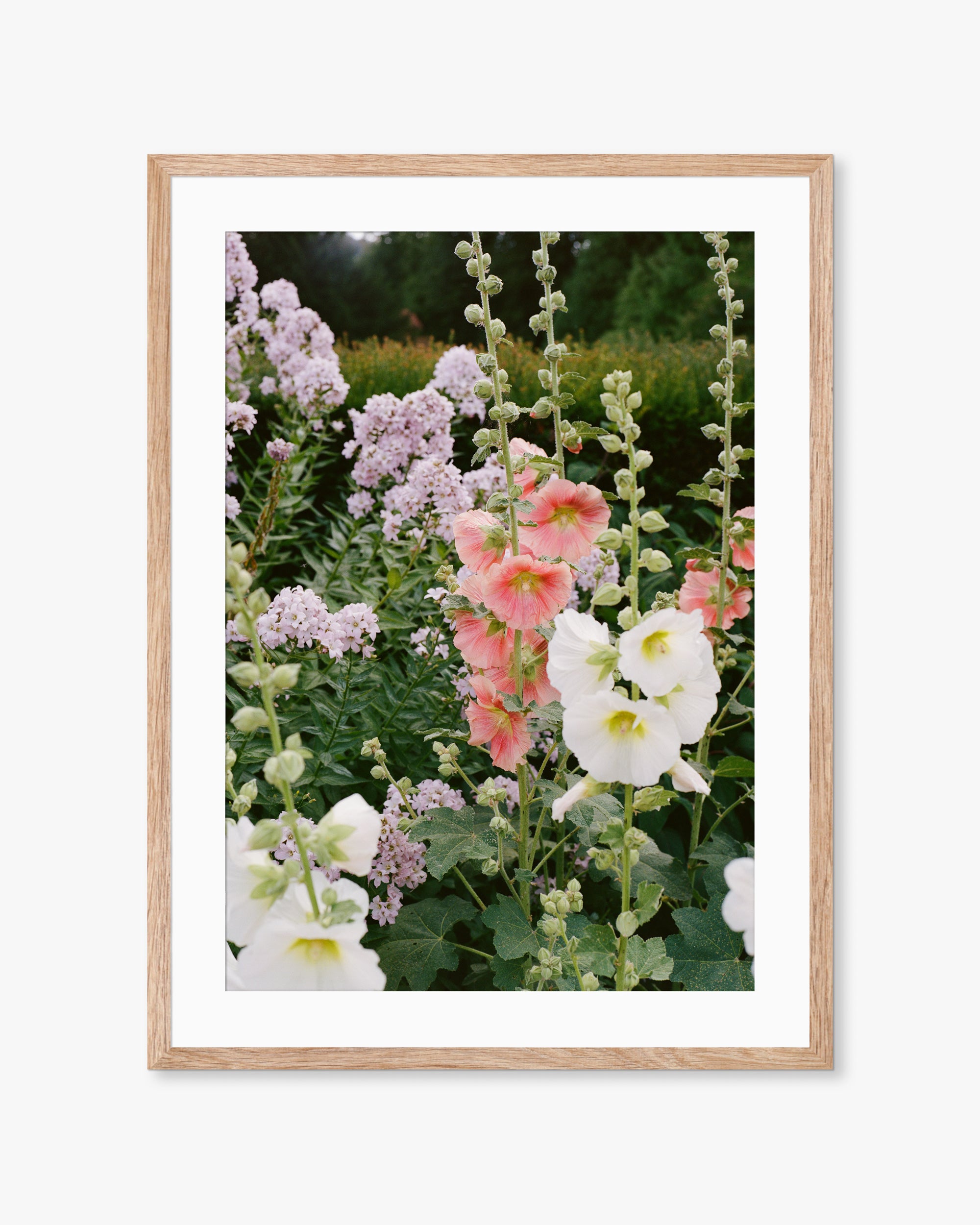 English Garden Flowers Print