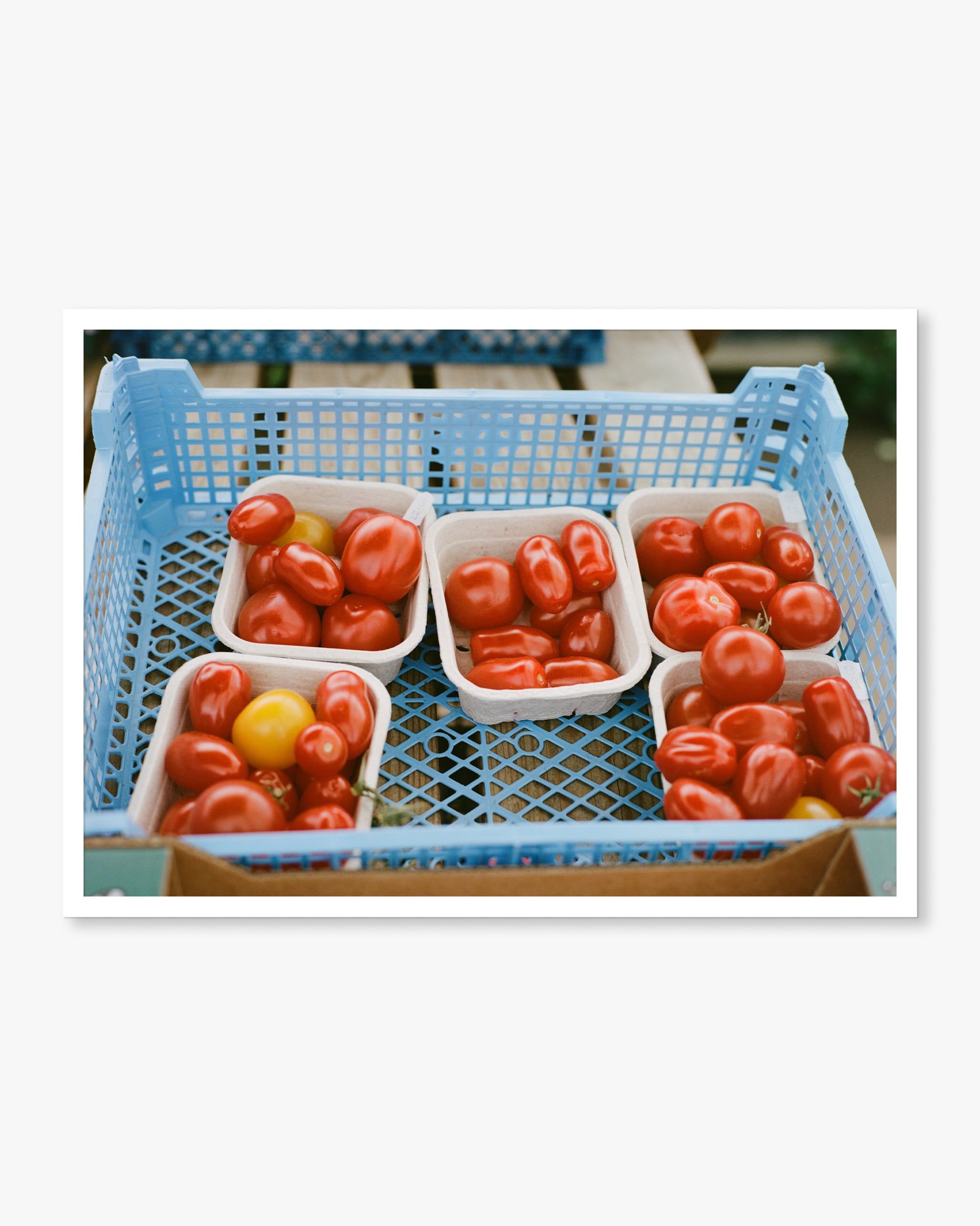 English Tomato Punnets Print