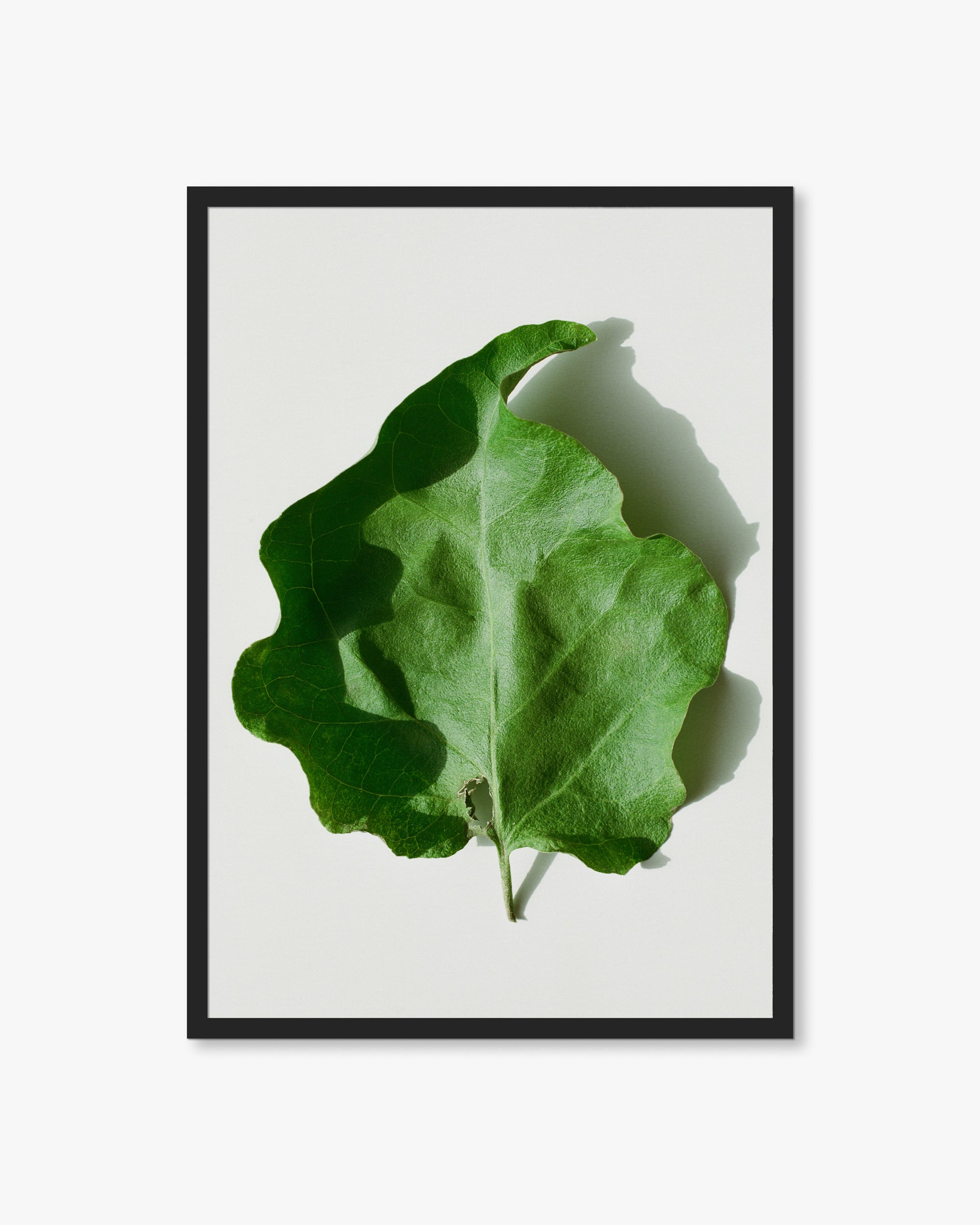 Mallorca Green Leaf Print