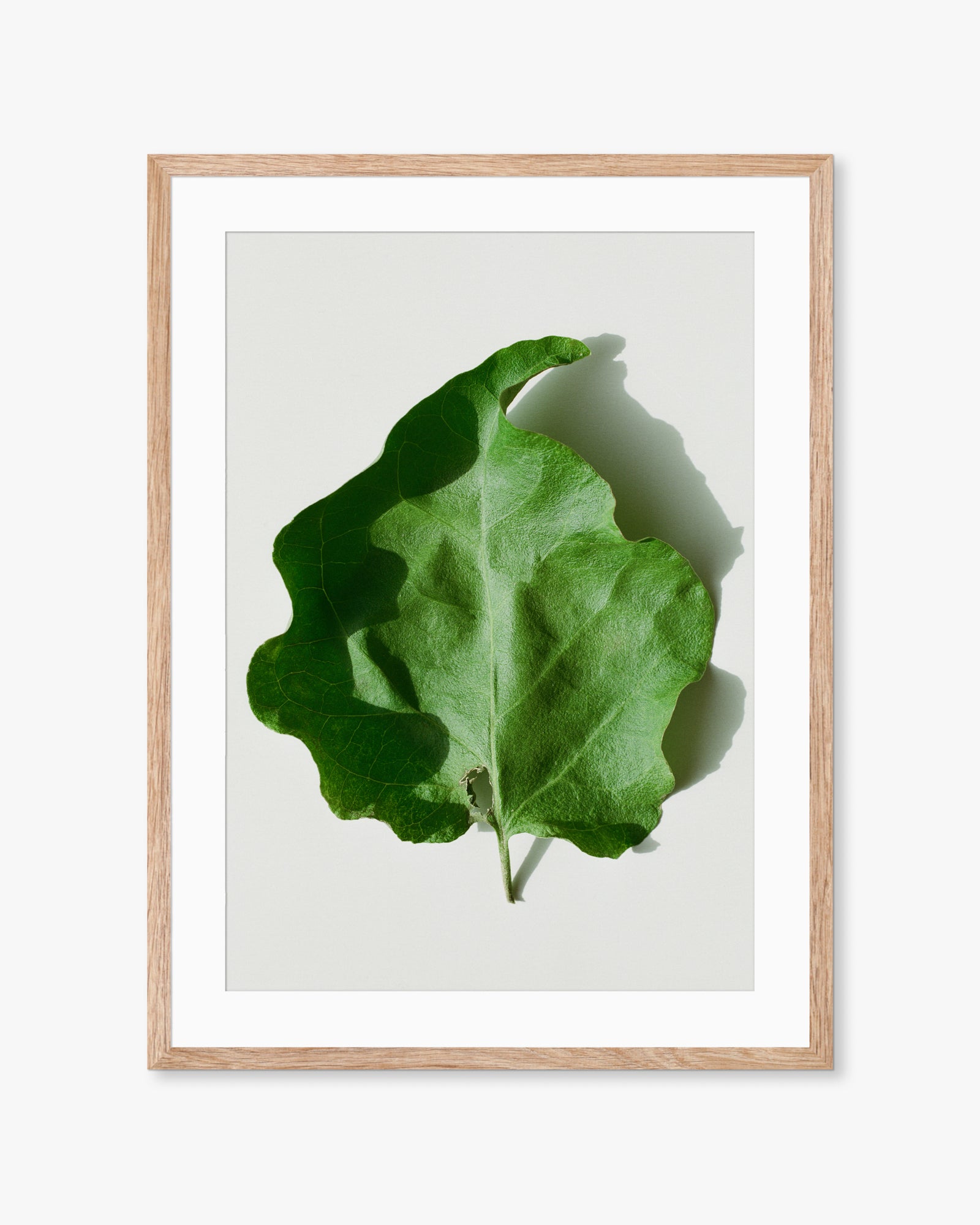Mallorca Green Leaf Print