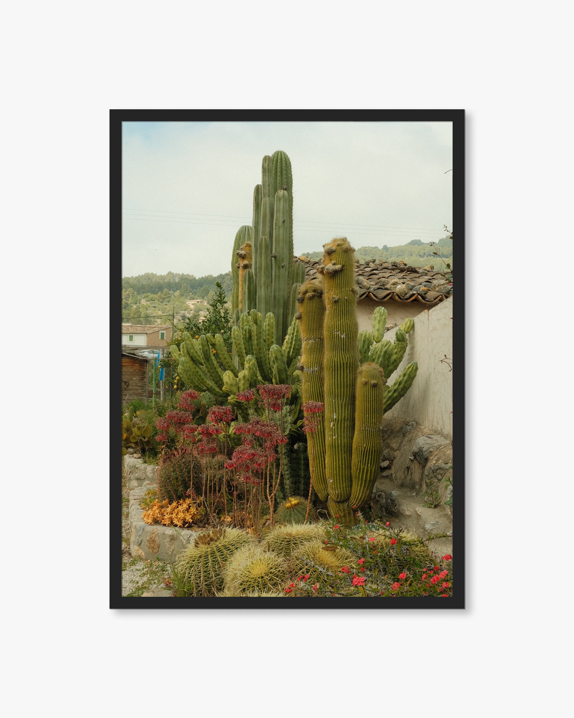 Mallorca Mountain Cactus Print