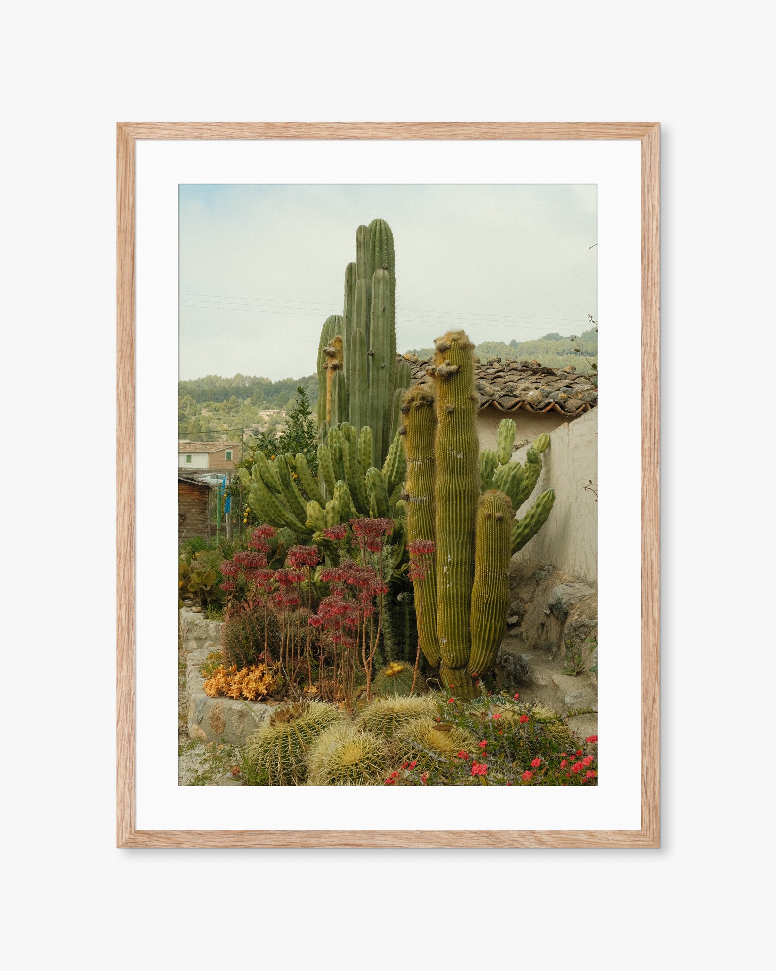Mallorca Mountain Cactus Print