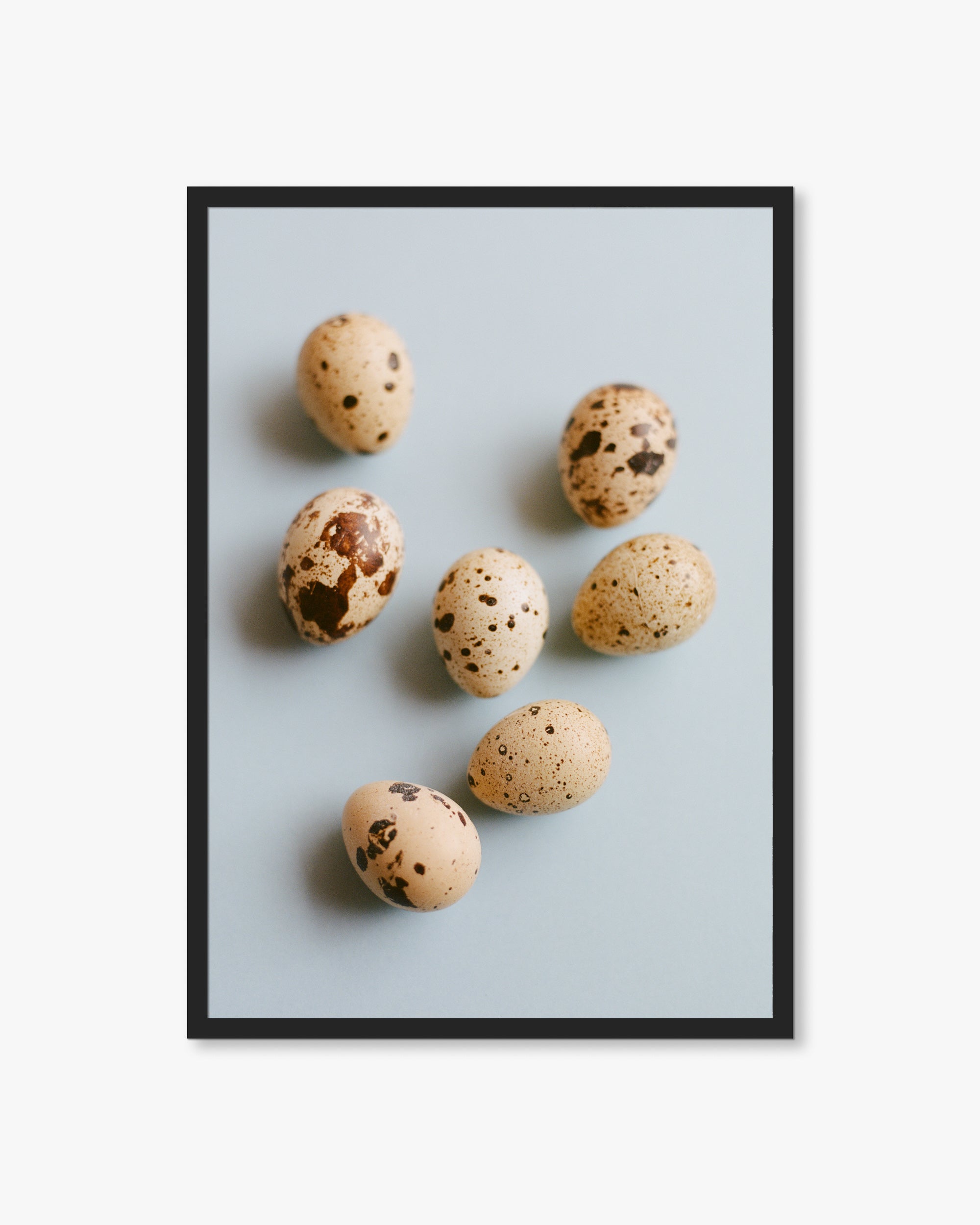 Mallorca Quail Eggs on Blue Print