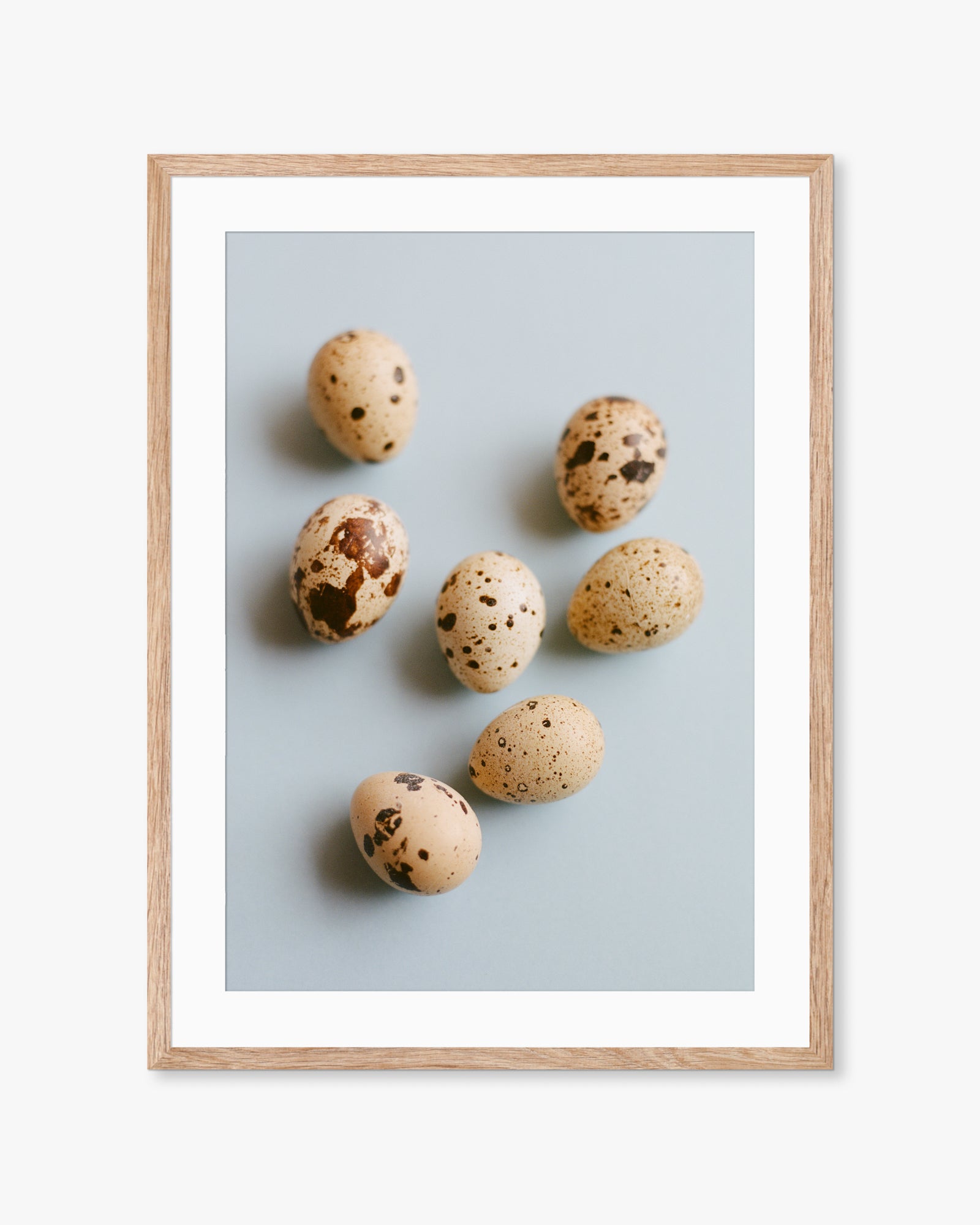 Mallorca Quail Eggs on Blue Print