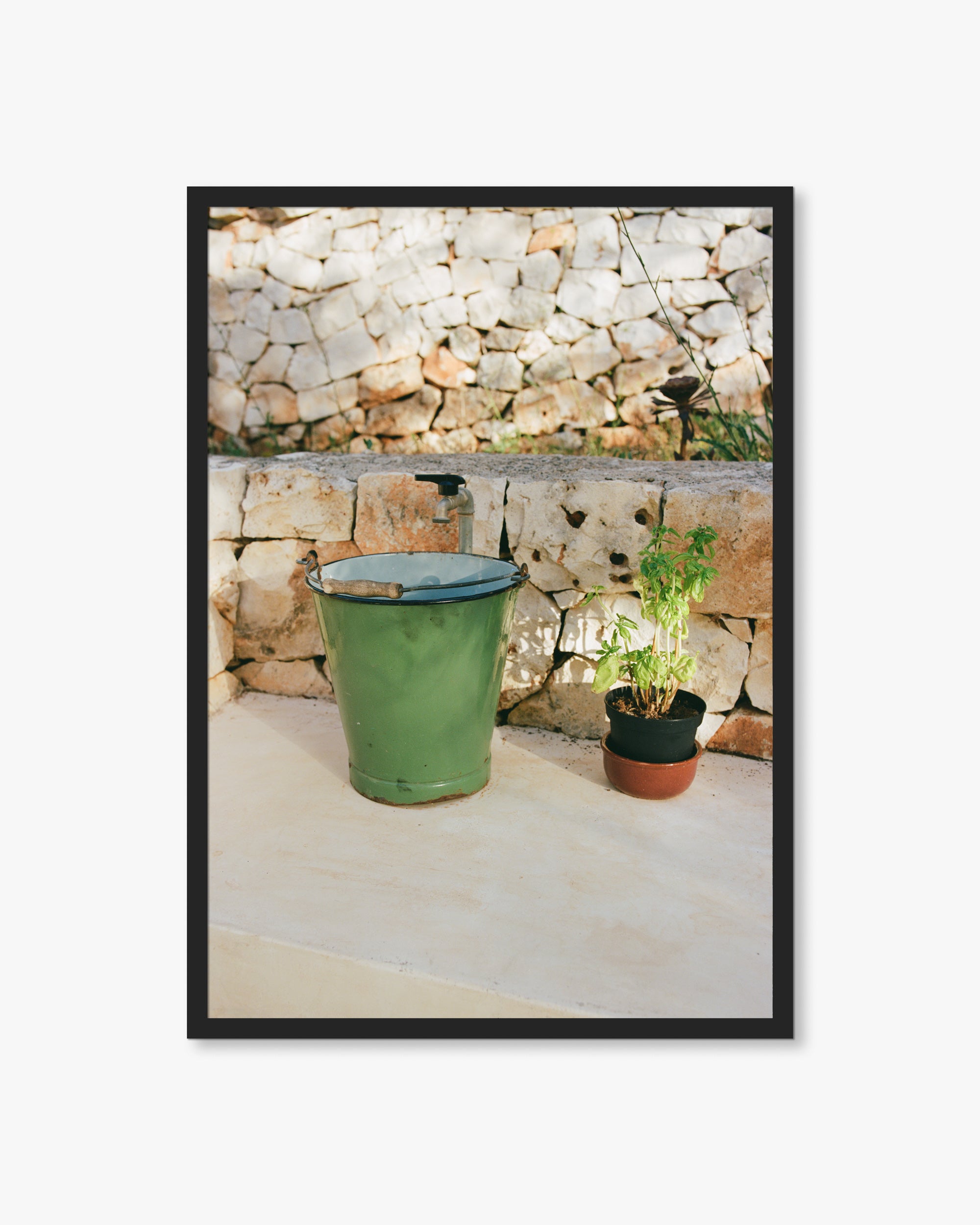 Puglia Bucket & Plant Print