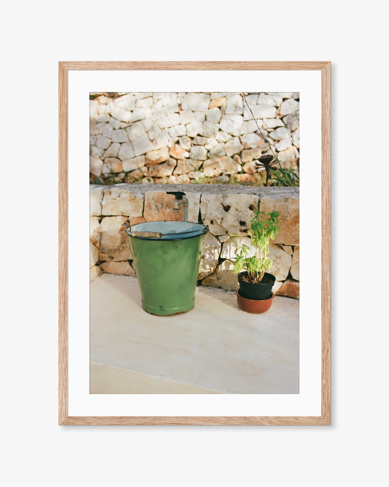 Puglia Bucket & Plant Print