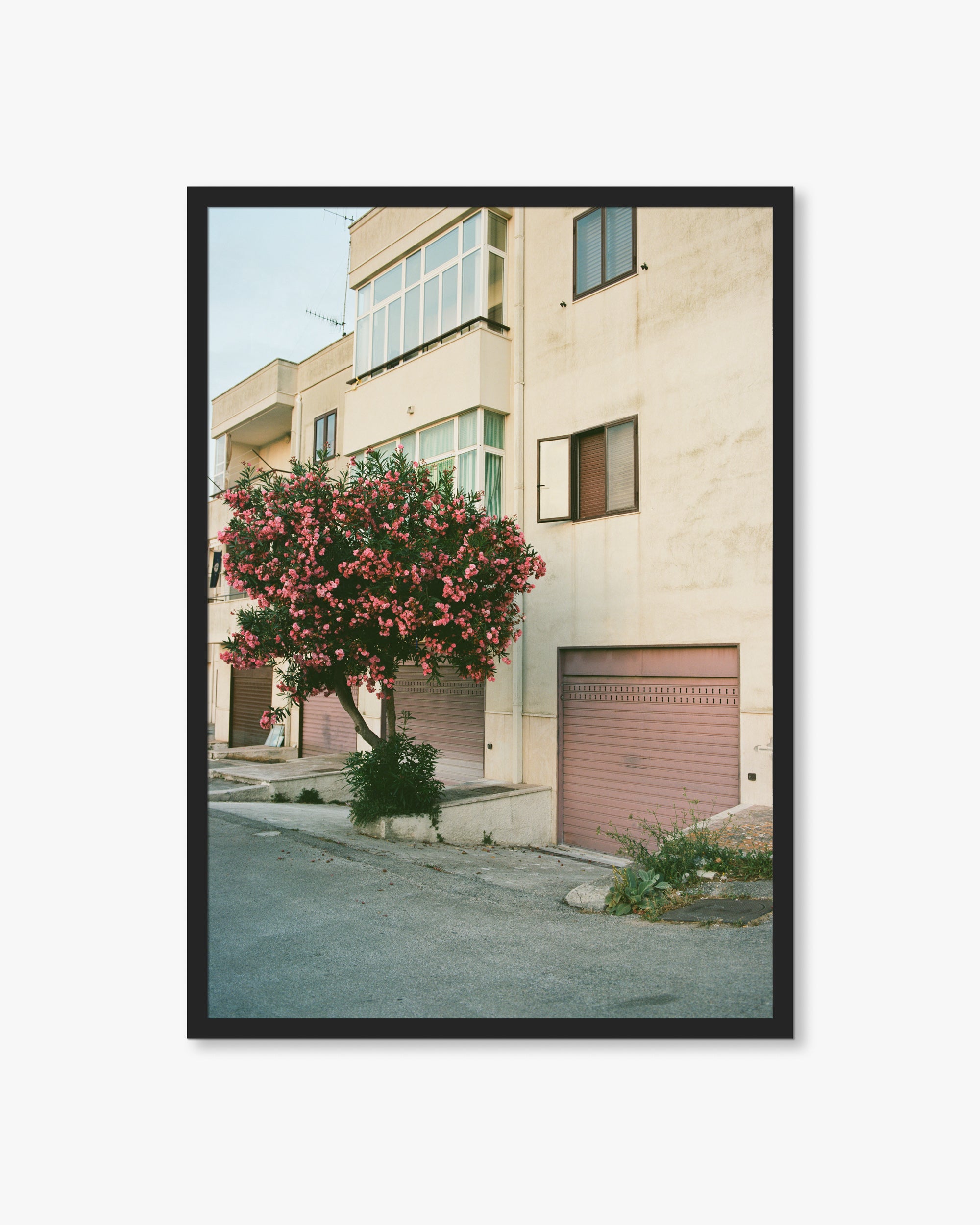 Puglia Pink Exterior Print