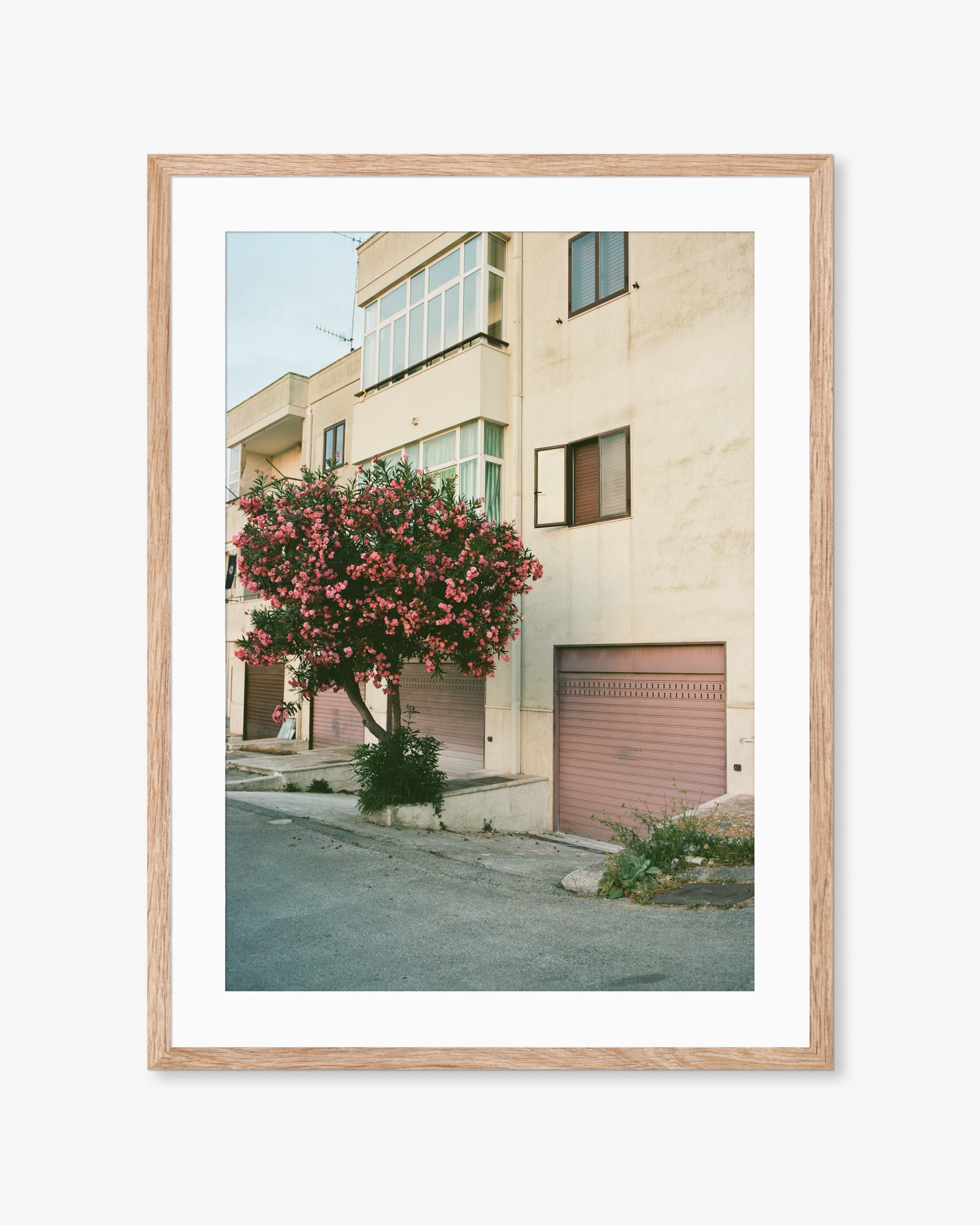 Puglia Pink Exterior Print
