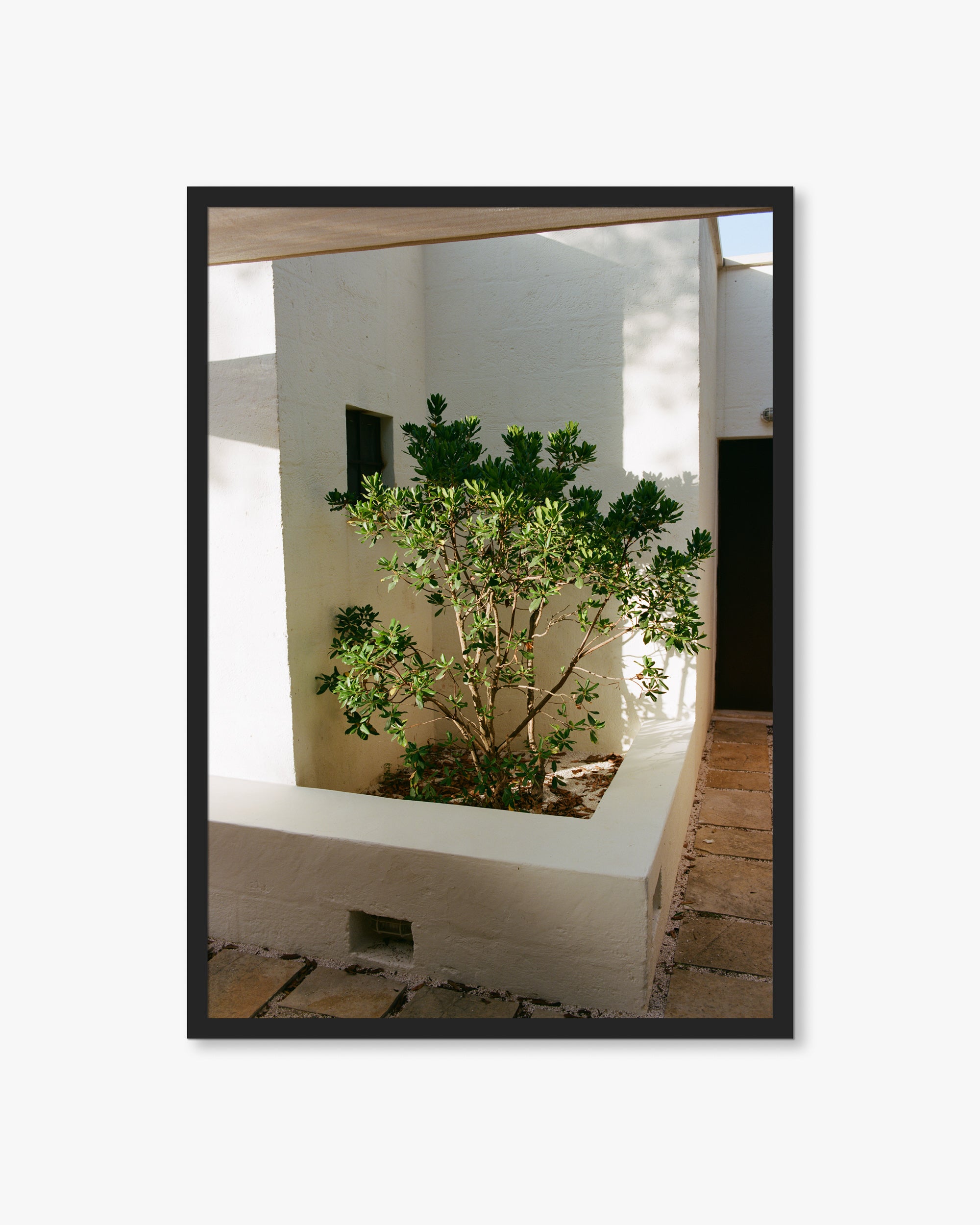 Puglia Small Tree Print
