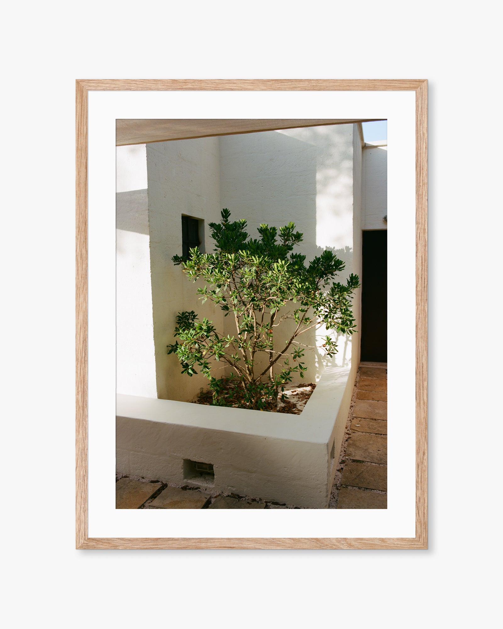 Puglia Small Tree Print