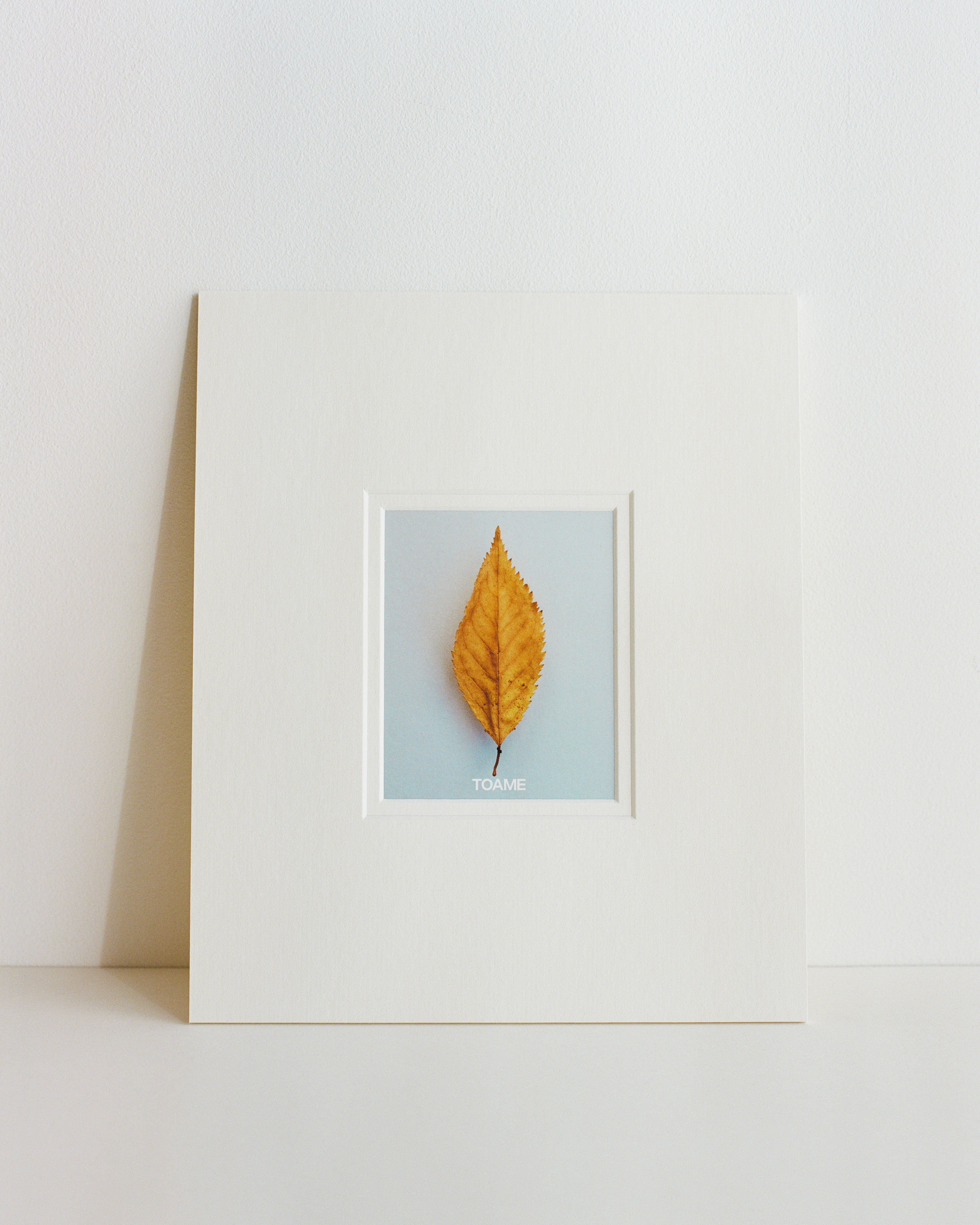 Autumn Leaf Mounted Print
